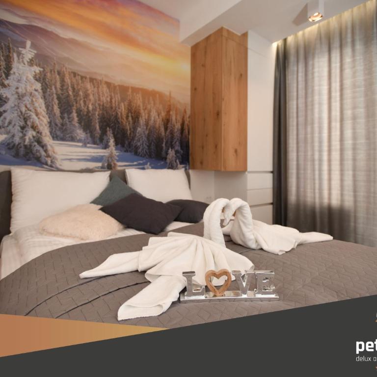 Apartman PETICA KOP A8 Kopaonik - King Studio with Sofa Bed - 5