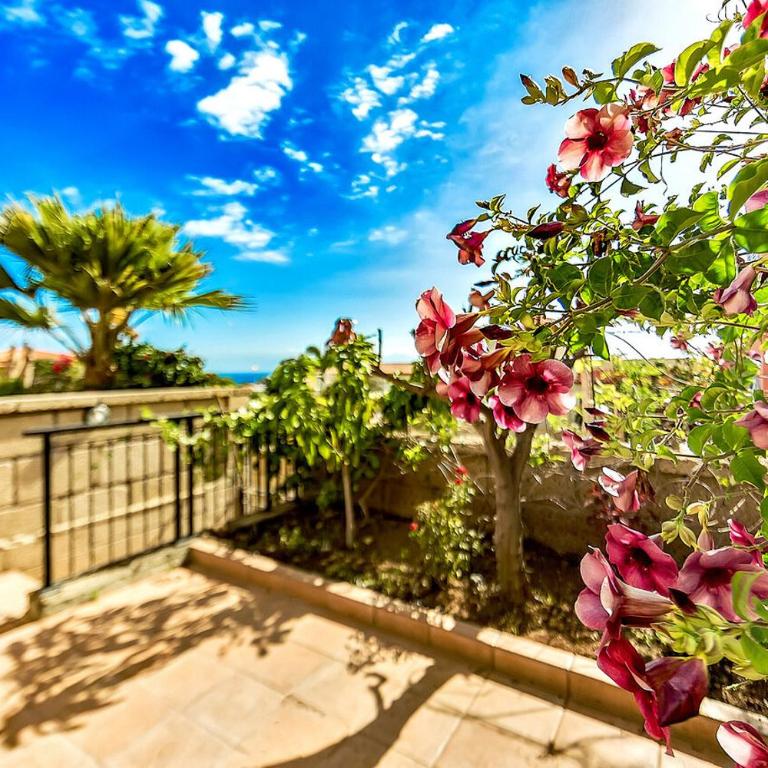 Townhouse in Joyas Del Duque - Casa de 3 dormitorios - 1