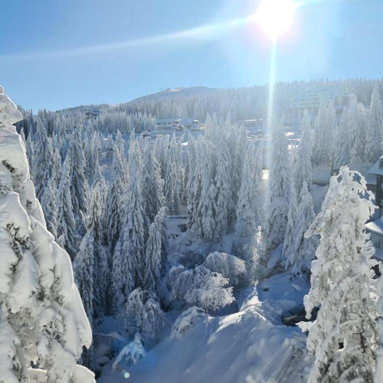Mountain Chalet Kopaonik - Apartment with Mountain View - 3