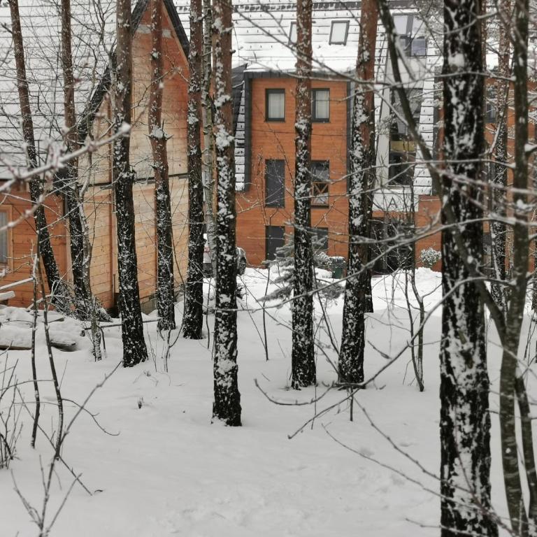 Apartman Divcigora Sokic 2 - Apartman sa 1 Spavaćom Sobom - 8