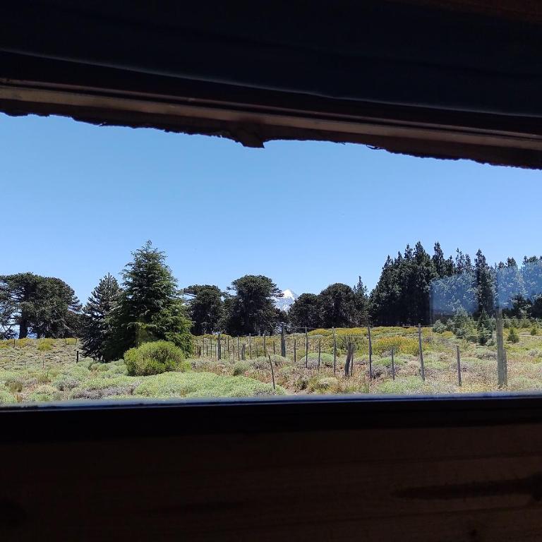 La casita de chocolate - One-Bedroom Chalet - 12