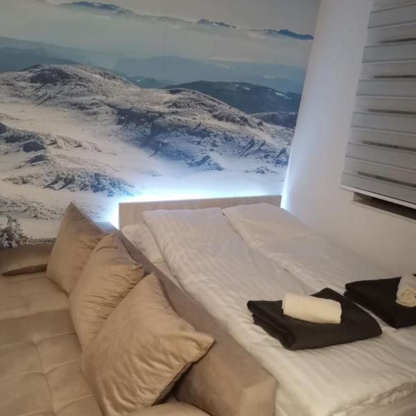 Apartman Ice age Jahorina - One-Bedroom Apartment - 4