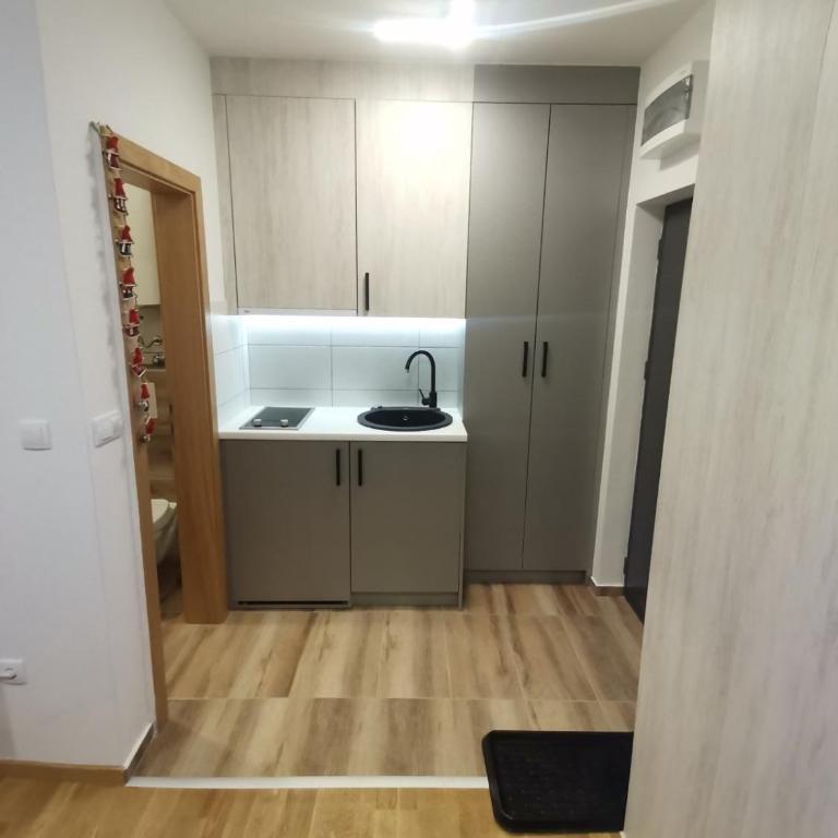Apartman Ice age Jahorina - One-Bedroom Apartment - 11