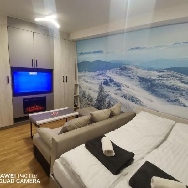 Apartman Ice age Jahorina - One-Bedroom Apartment - 6