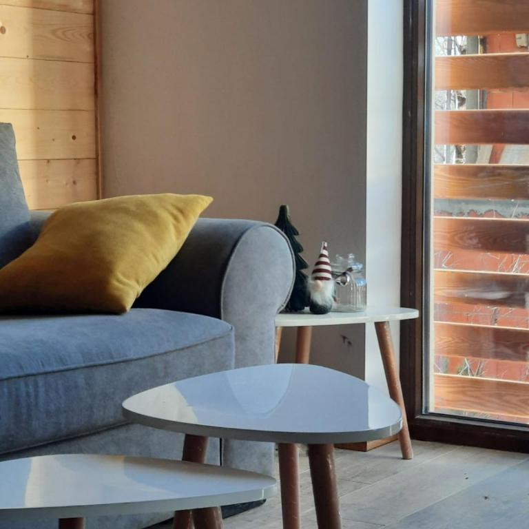 Maglian Forest Retreat - Superior Apartman Tipa Suite s King-sajz Krevetom - 8