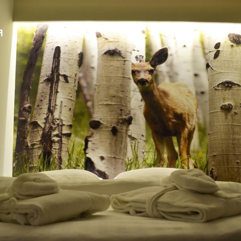 Hotel Lavina - Junior Suite with Mountain View - 1