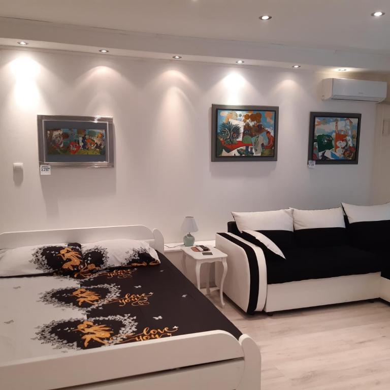 Djakuzi Viktorija - Apartman sa 1 Spavaćom Sobom - 17