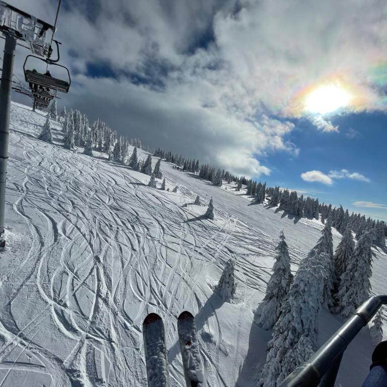 Pano Kopaonik Panorama - One-Bedroom Apartment - 84