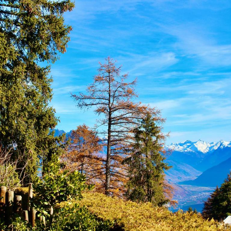 Hautes Roches - Magnifique vue sur la montagne - Appartement avec Vue sur la Montagne - 6