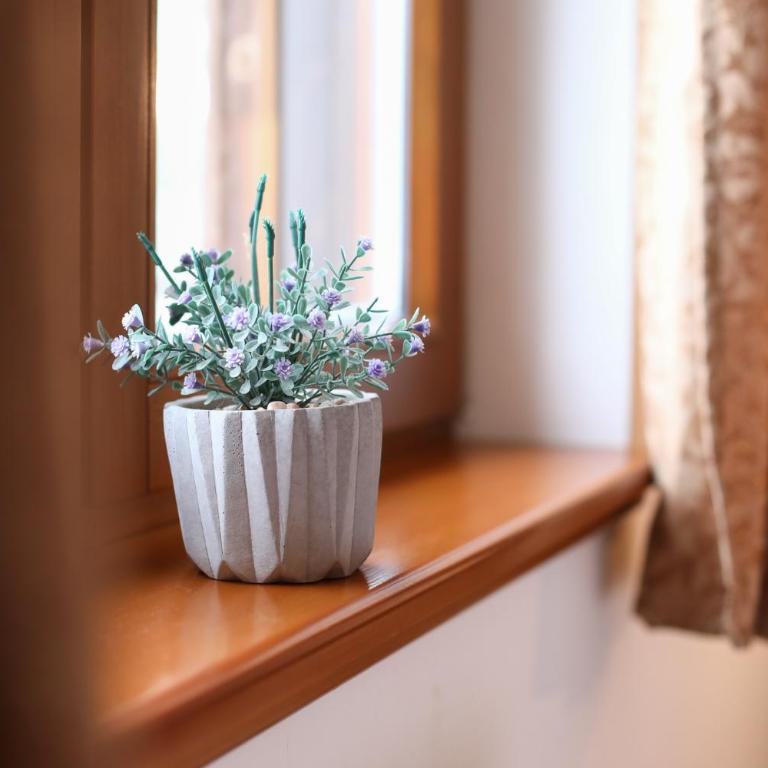 Apartments Sport House Novakovic - Apartment with Mountain View - 23