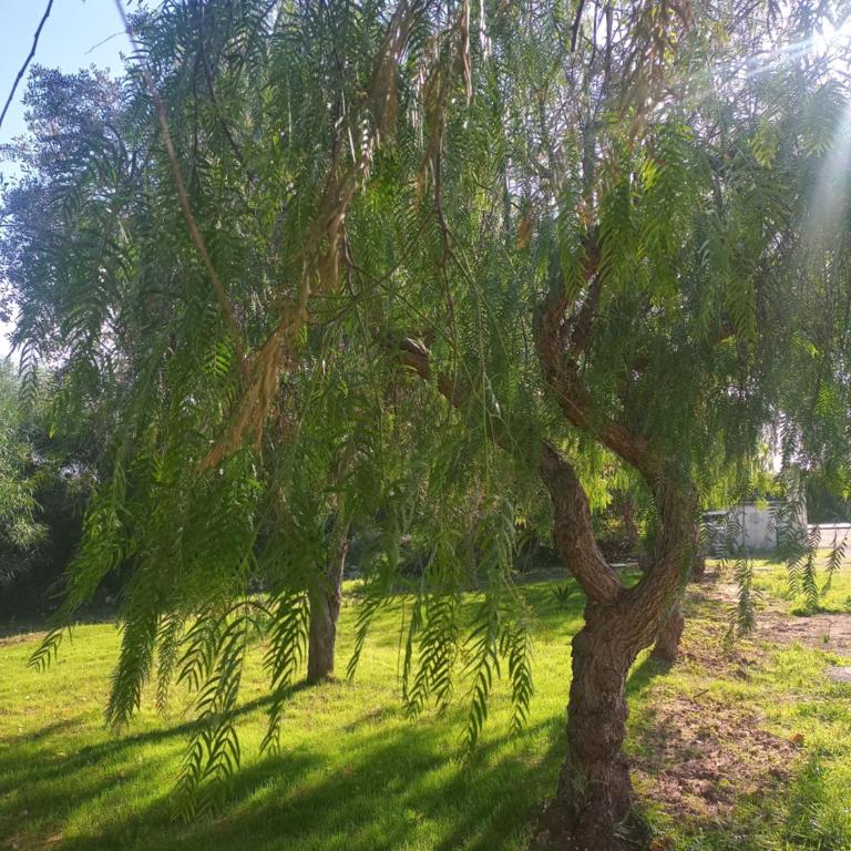 Villa Raffaella - Casa con 2 Camere da Letto - 18