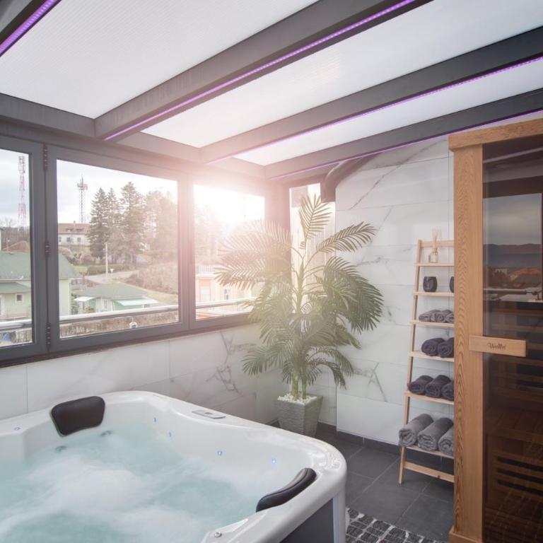 IN LUX SPA APARTMAN - One-Bedroom Apartment - 27
