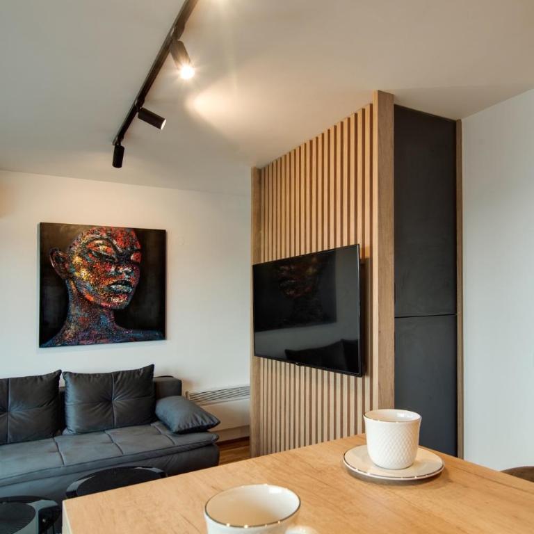 IN LUX SPA APARTMAN - One-Bedroom Apartment - 11