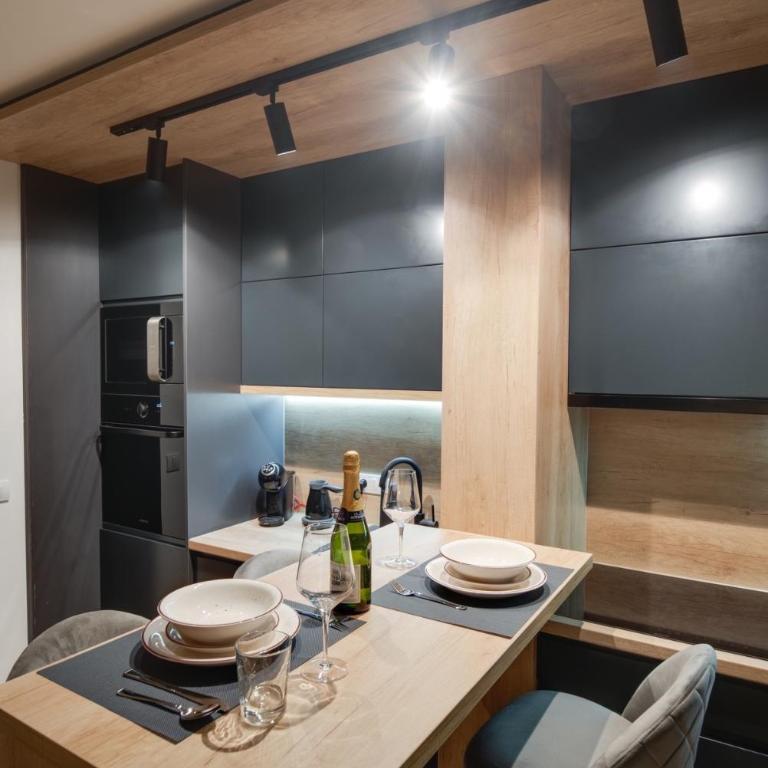 IN LUX SPA APARTMAN - One-Bedroom Apartment - 15