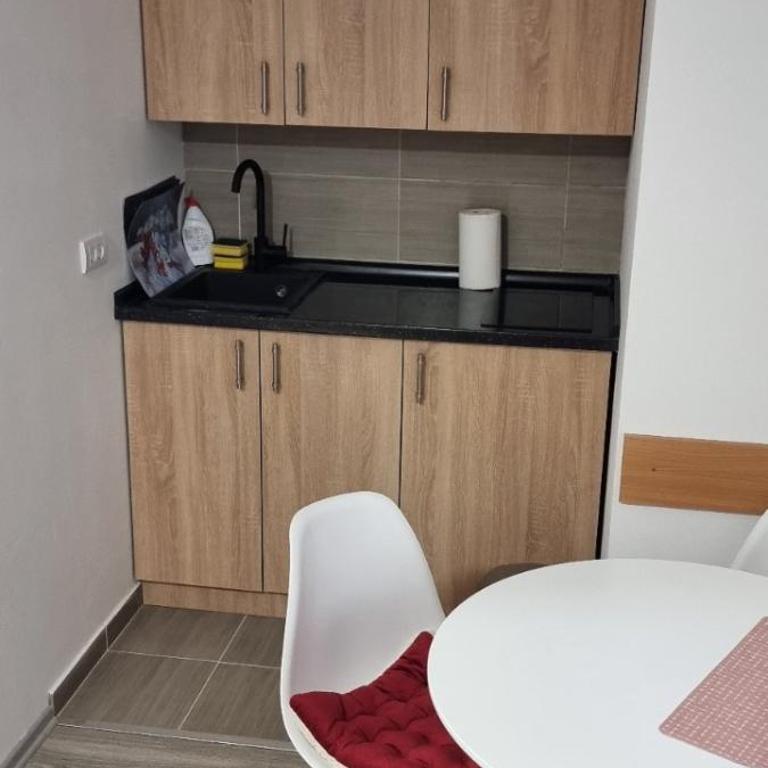Snowman Studio Apartment Jahorina - One-Bedroom Apartment - 5