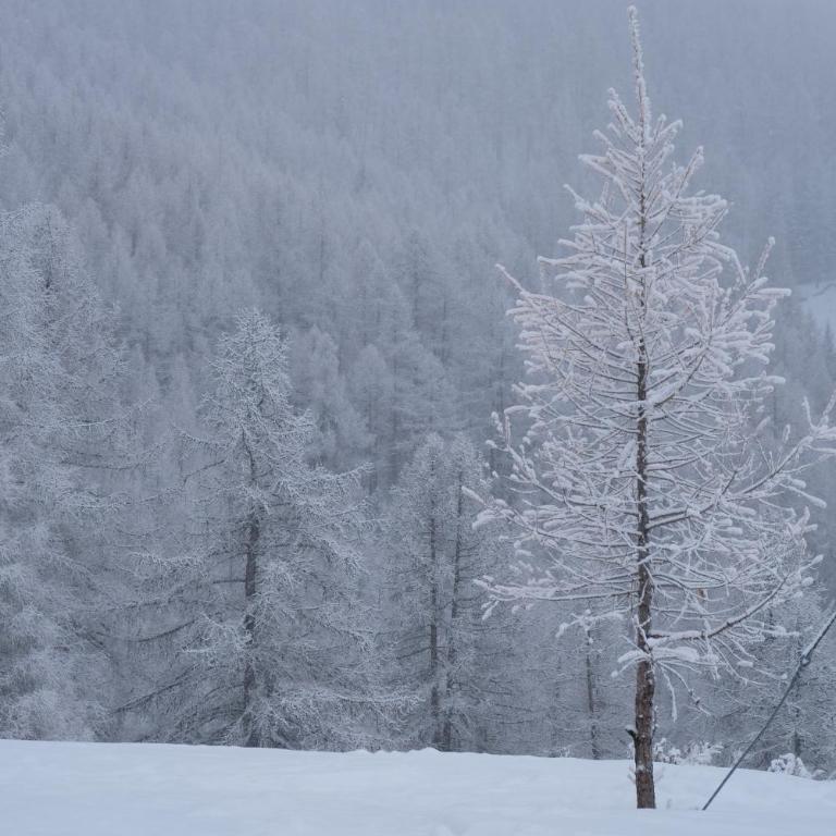 Le Grange Apartments - Direct Ski Access - Appartamento - 16