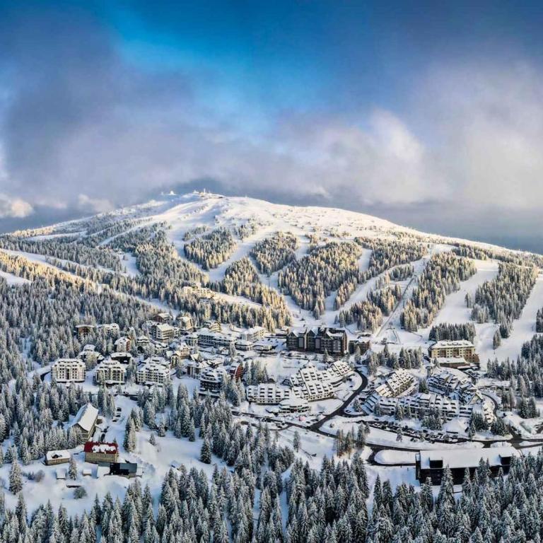 "Apartman Snow Idyll" Brzeće Center Apartments - One-Bedroom Apartment - 30