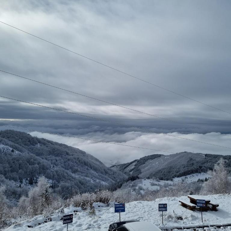 Silver Mountain Milmari - Apartment with Mountain View - 10