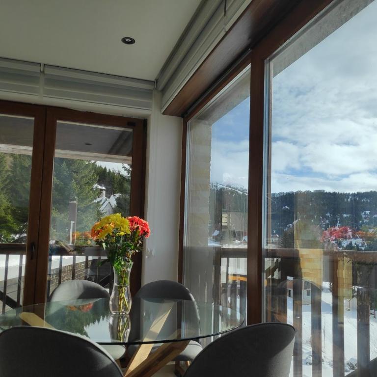 Mountain View 19 Zoned II Kopaonik - Superior Apartment - 1