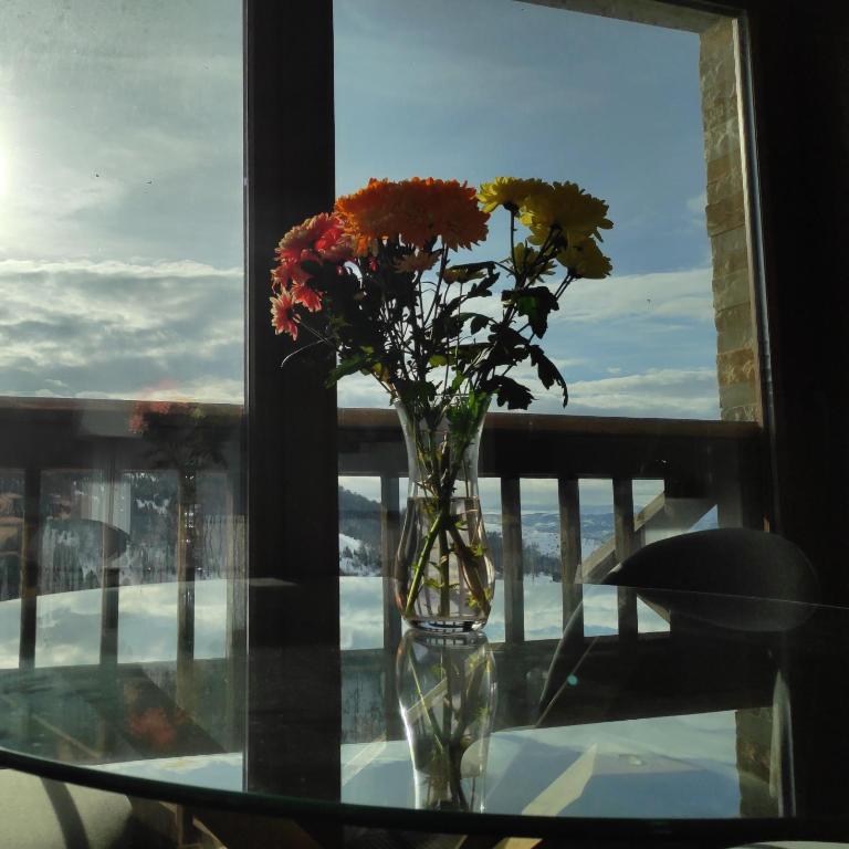 Mountain View 19 Zoned II Kopaonik - Superior Apartman - 52