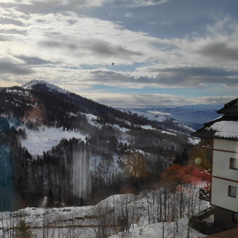 Mountain View 19 Zoned II Kopaonik - Superior Apartment - 81