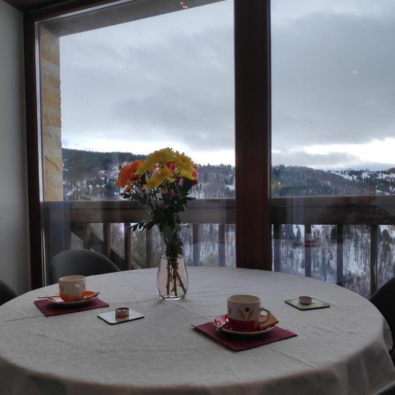 Mountain View 19 Zoned II Kopaonik - Superior Apartment - 51