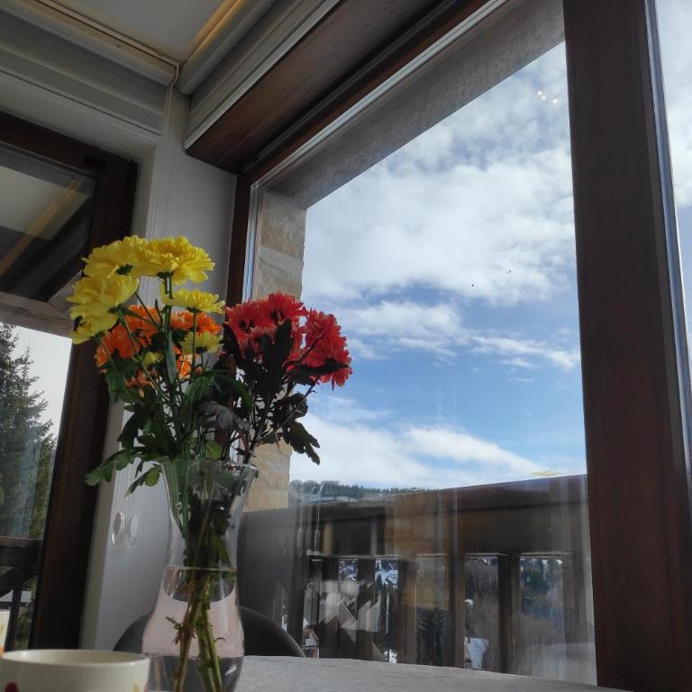 Mountain View 19 Zoned II Kopaonik - Superior Apartment - 10
