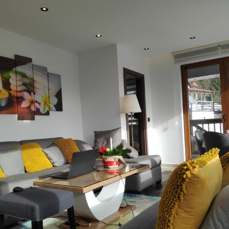 Mountain View 19 Zoned II Kopaonik - Superior Apartment - 5