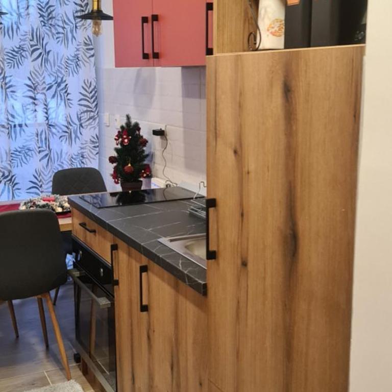 Apartman Mina - Apartman sa 1 Spavaćom Sobom - 3