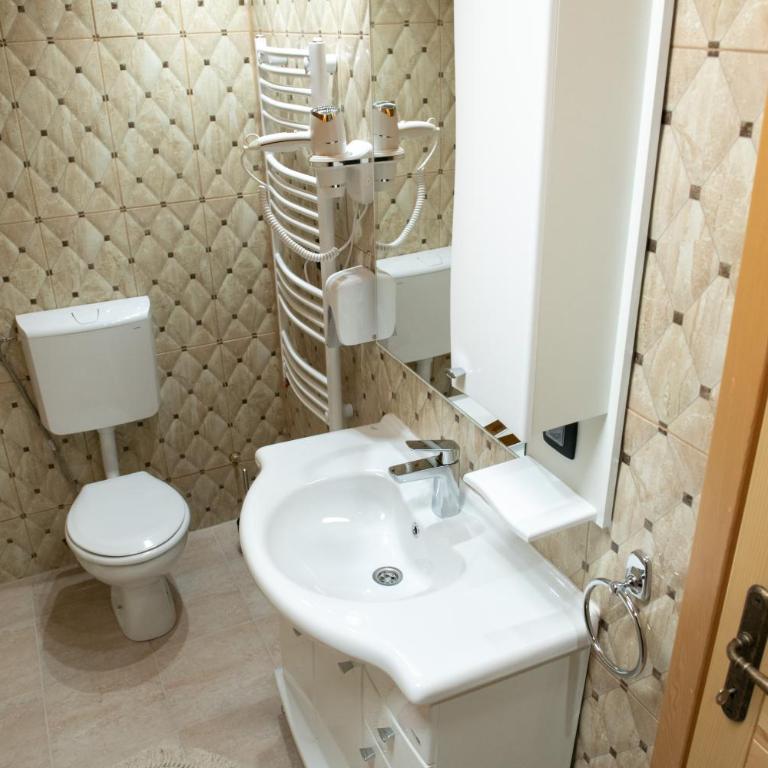 Apartmani Bor - Apartman sa 1 Spavaćom Sobom - 12