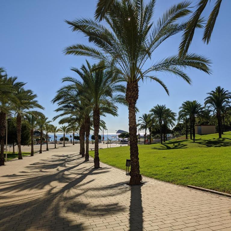 CALA ALTA apARTs by RB - Apartamento de 1 dormitorio - 36