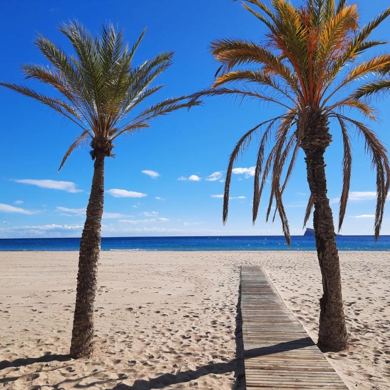 CALA ALTA apARTs by RB - Apartamento de 1 dormitorio - 39