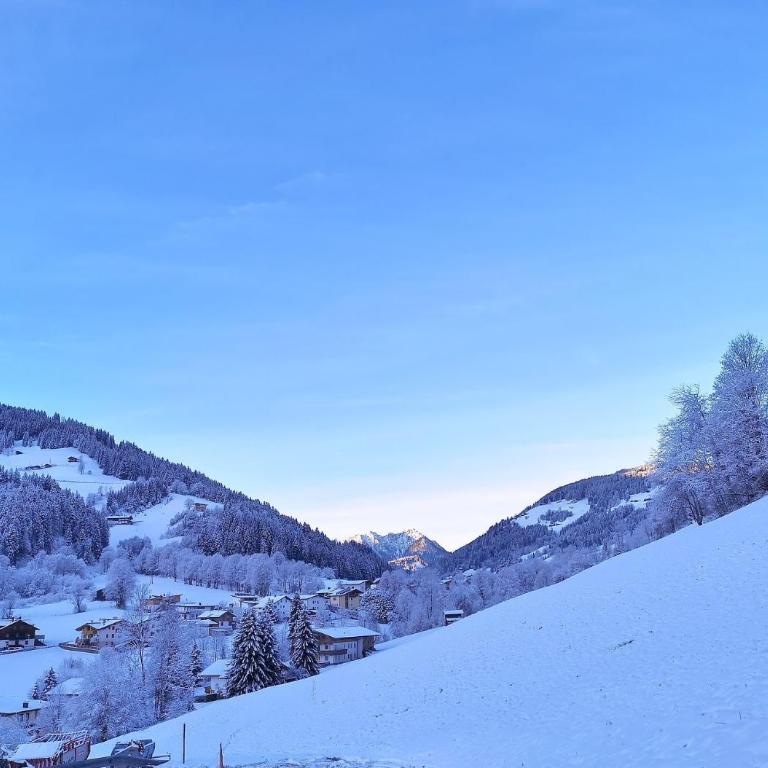 Kaiser Traum Appartement - Wildschönau PREMIUM Card in Summer - Apartment mit 2 Schlafzimmern - 33