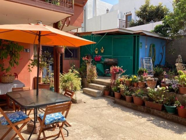 Mini Studio cerca de playa - One-Bedroom Apartment - 15