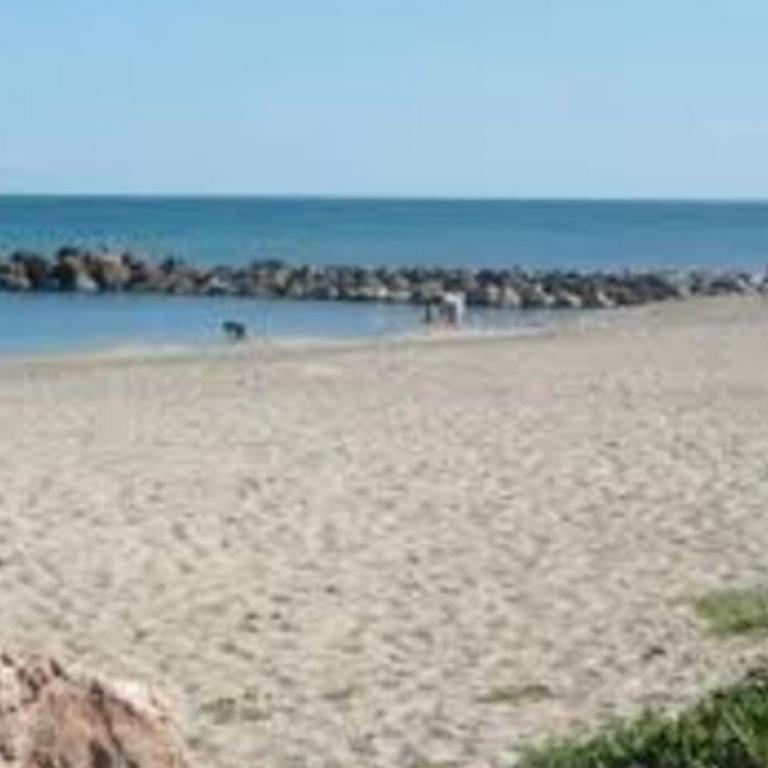 Clair de plage - Appartement 1 Chambre - 1