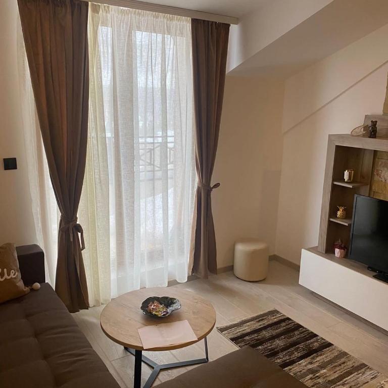 Milmari Apartman N92 Kopaonik - One-Bedroom Apartment - 14