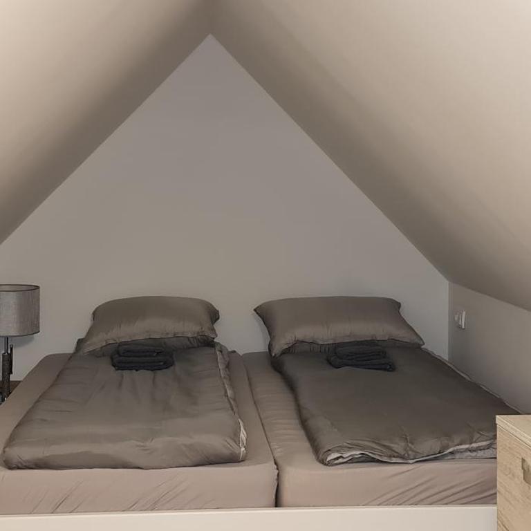 Gabi Apartments Kopaonik - Kraljevi cardaci - Apartment - Split Level - 13