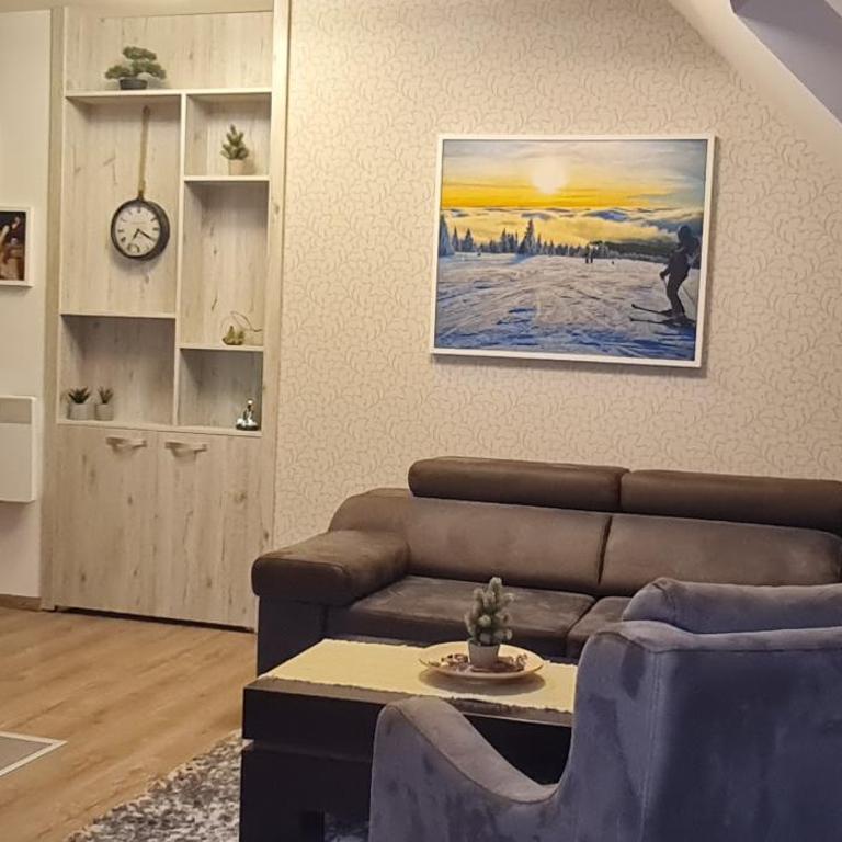 Gabi Apartments Kopaonik - Kraljevi cardaci - Apartment - Split Level - 16