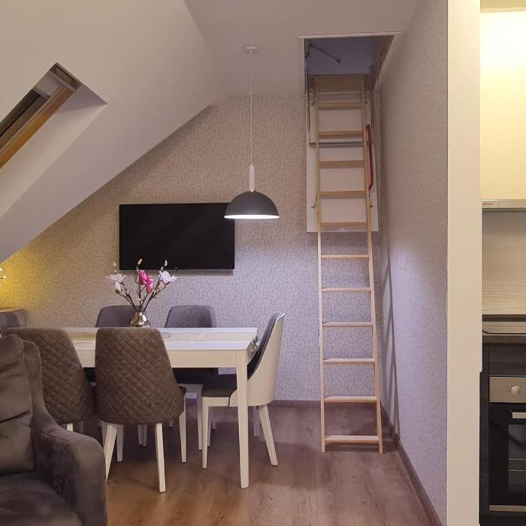 Gabi Apartments Kopaonik - Kraljevi cardaci - Apartment - Split Level - 17