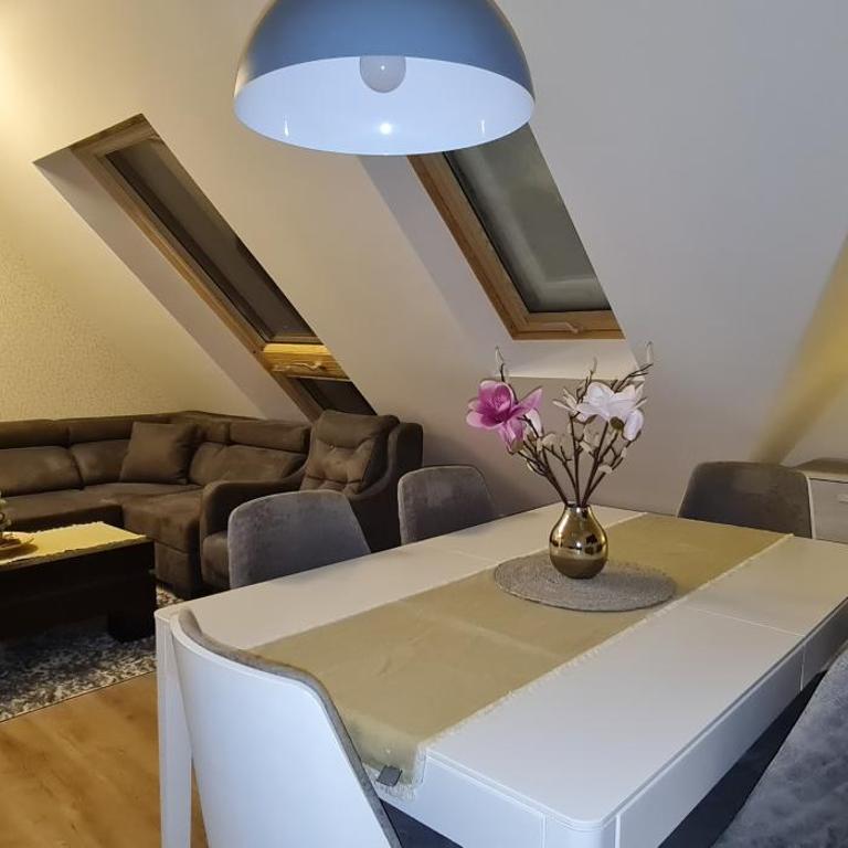 Gabi Apartments Kopaonik - Kraljevi cardaci - Apartment - Split Level - 14