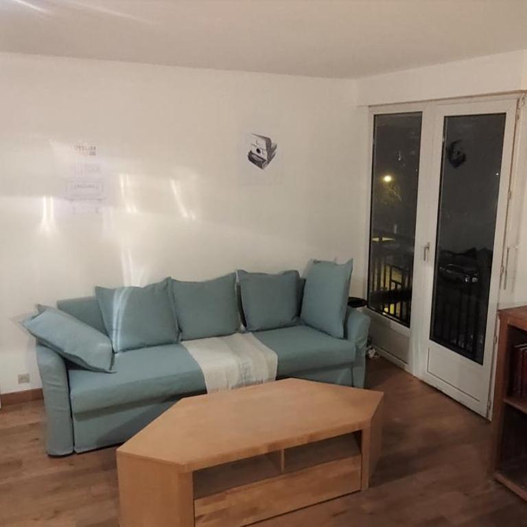 LE BACO-BACO, FACE AU CHÂTEAU, AVEC PARKING - Appartement 1 Chambre - 16