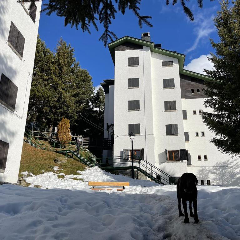 Izas · Pirineos360 · Práctico y sencillo · Perfecto para esquiadores - Apartment mit 1 Schlafzimmer - 14