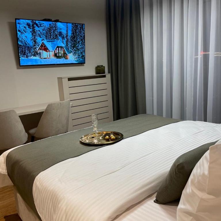 BW Sky View Belgrade Waterfront - Apartman sa 1 Spavaćom Sobom - 4