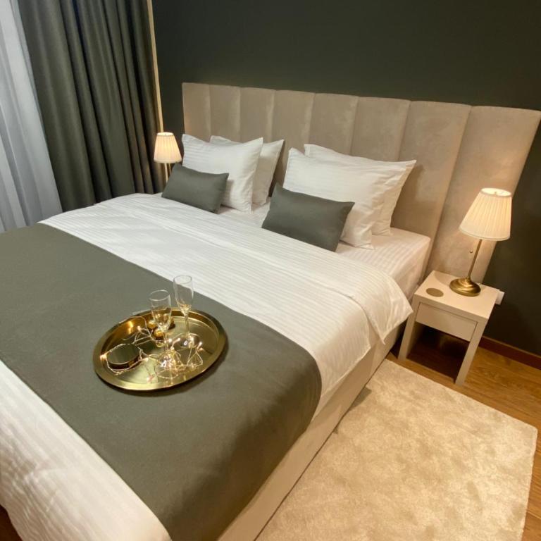 BW Sky View Belgrade Waterfront - Apartman sa 1 Spavaćom Sobom - 2