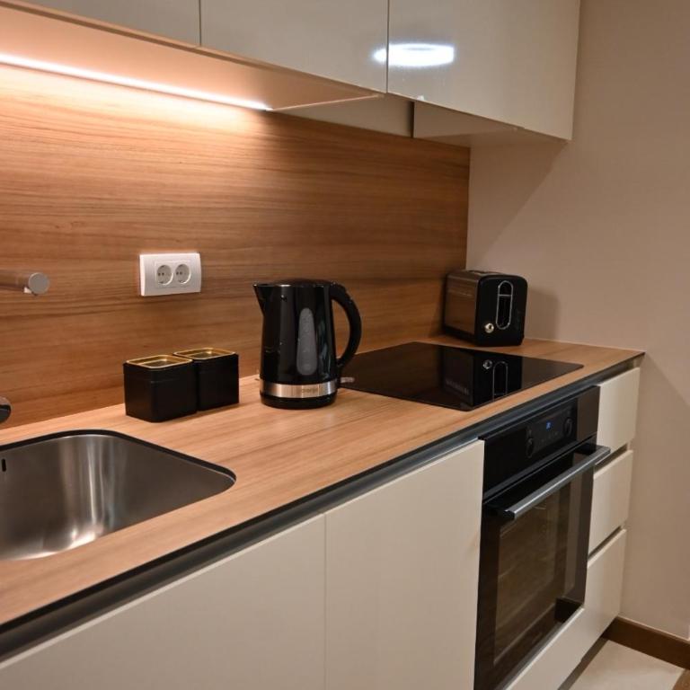 BW Sky View Belgrade Waterfront - Apartman sa 1 Spavaćom Sobom - 5