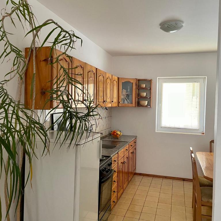 Mount Inn Family - Apartman sa 1 Spavaćom Sobom - 11
