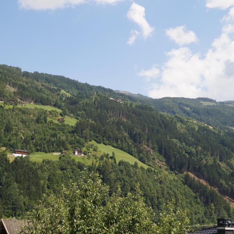 Apartment Alpin - Apartment mit Balkon - 3