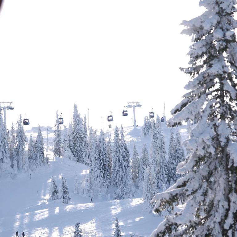 Villa Rustika - Three-Bedroom Apartment (6+2 Adults) - 10