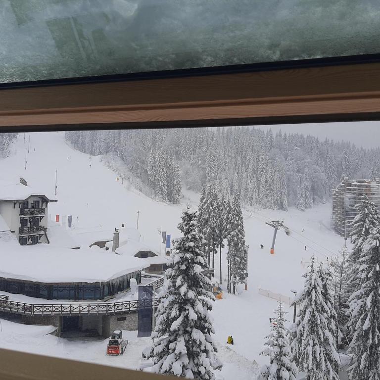 Olimpijska kuća A.503 Jahorina - One-Bedroom Apartment - 41