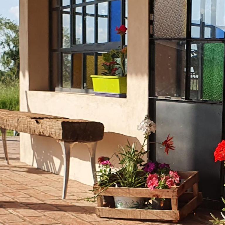 Campo dei Miracoli - Apartamento de 1 dormitorio - 6